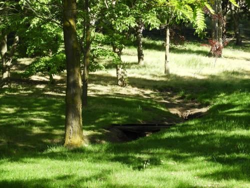 Outdoor Pictures 14