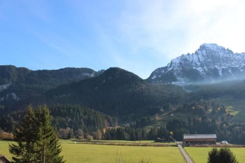 Outdoor Pictures 7
