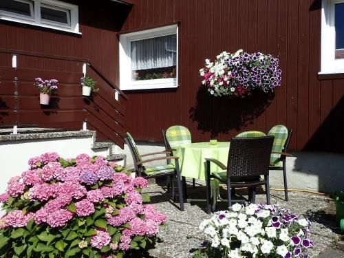 Outdoor Pictures 3