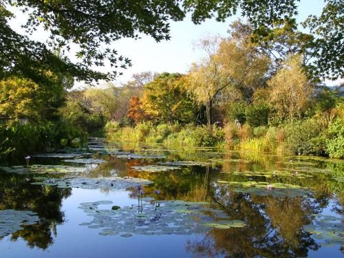 Outdoor Pictures 22