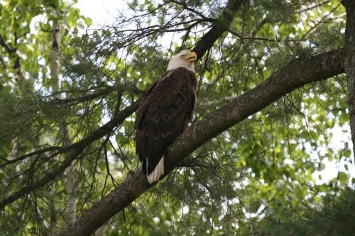 Outdoor Pictures 15