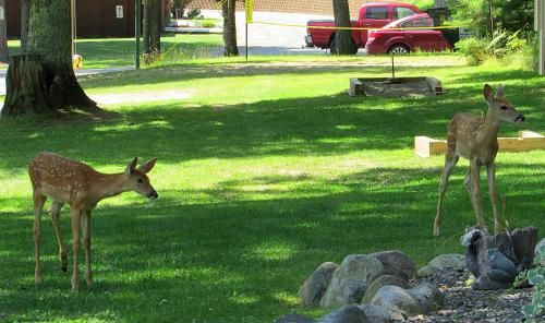 Outdoor Pictures 10