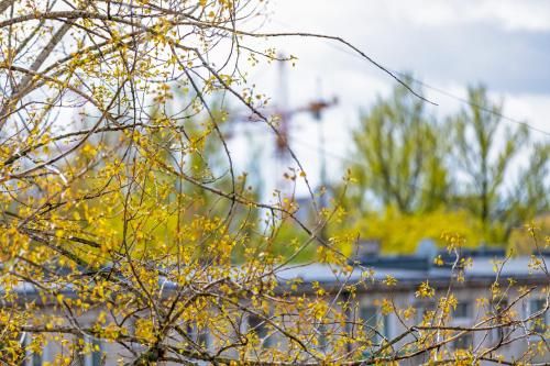 Outdoor Pictures 21