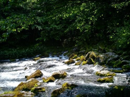 Outdoor Pictures 5