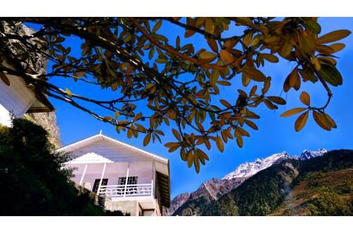 Outdoor Pictures 24