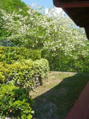 Outdoor Pictures 4