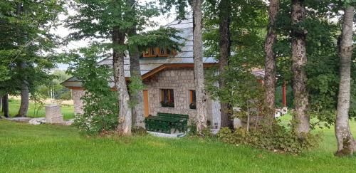 Outdoor Pictures 15