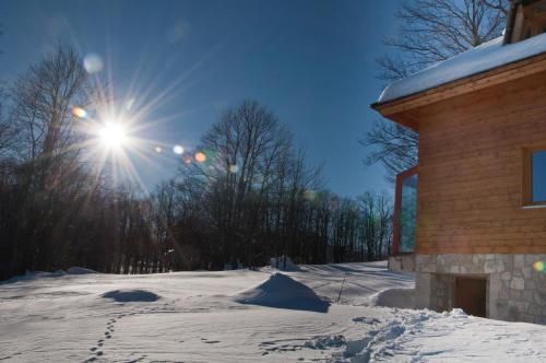 Outdoor Pictures 23