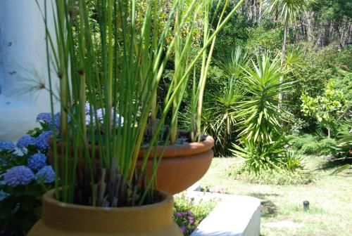 Outdoor Pictures 23