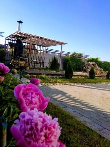 Outdoor Pictures 11