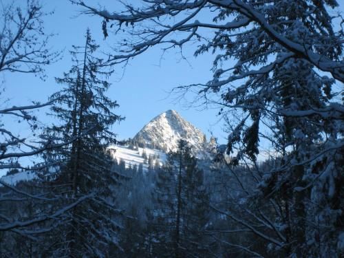 Outdoor Pictures 21