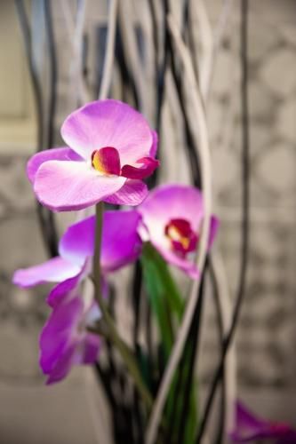 Outdoor Pictures 24