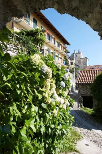 Outdoor Pictures 23