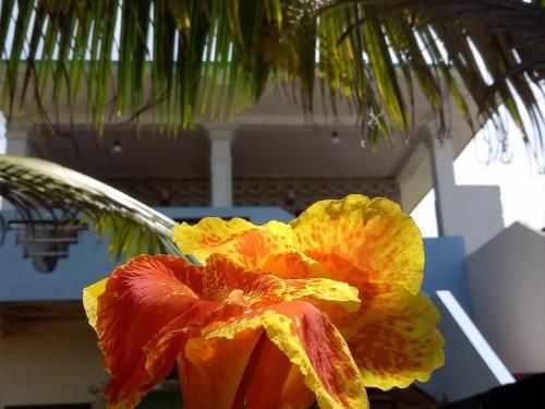 Outdoor Pictures 17