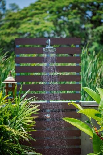 Outdoor Pictures 13