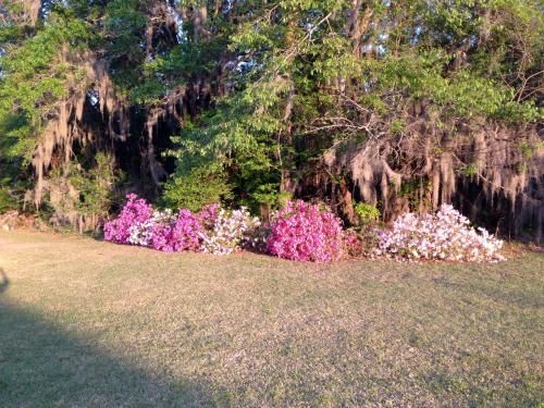 Outdoor Pictures 19