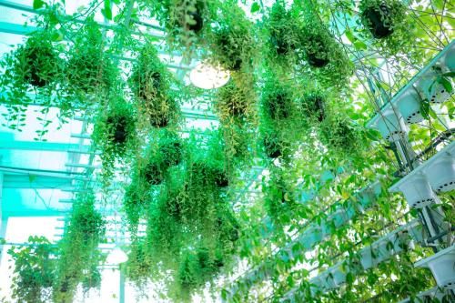 Outdoor Pictures 21