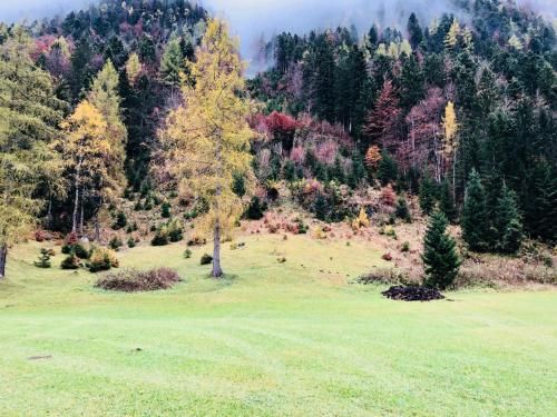 Outdoor Pictures 19