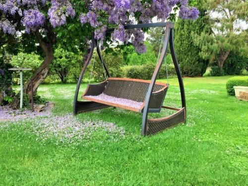 Outdoor Pictures 13