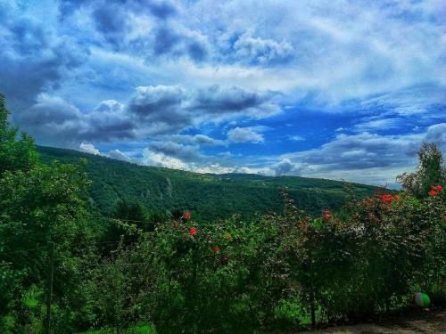 Outdoor Pictures 21