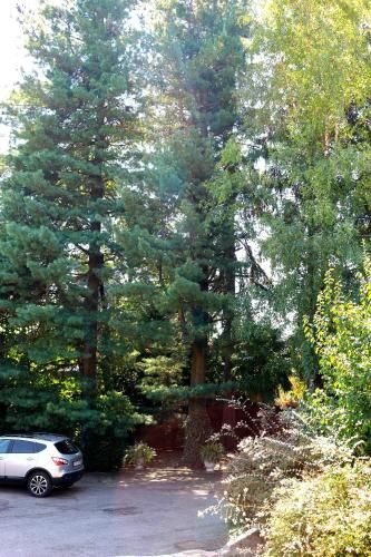 Outdoor Pictures 22