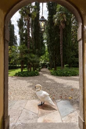 Outdoor Pictures 24