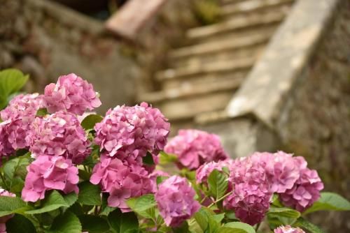Outdoor Pictures 14