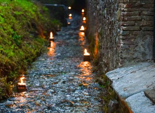 Outdoor Pictures 22