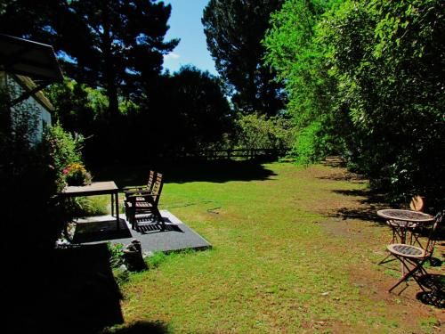 Outdoor Pictures 7