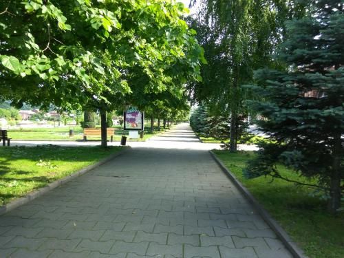 Outdoor Pictures 5