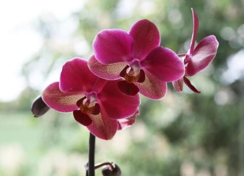 Outdoor Pictures 7