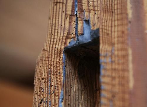 Outdoor Pictures 6