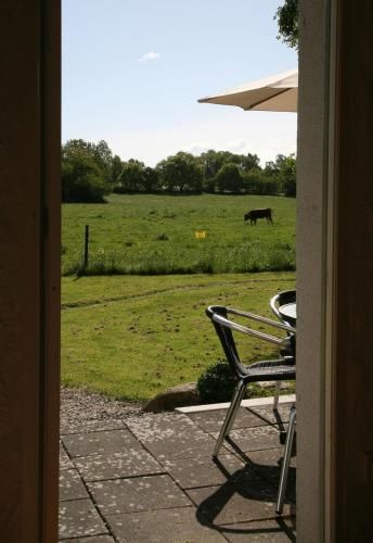 Outdoor Pictures 19