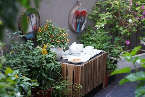 Outdoor Pictures 21