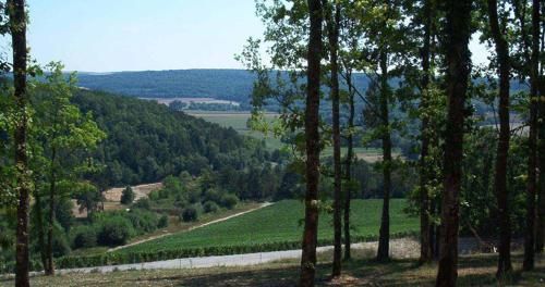 Outdoor Pictures 11