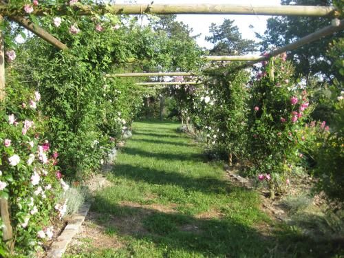 Outdoor Pictures 8