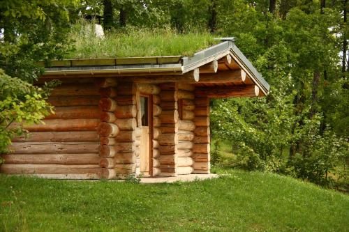 Outdoor Pictures 6