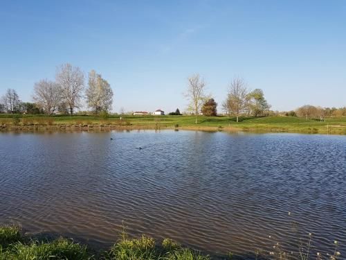 Outdoor Pictures 10