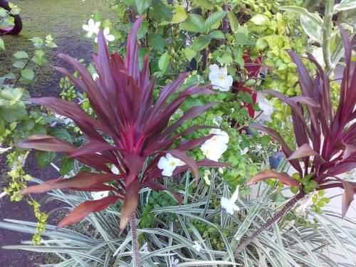 Outdoor Pictures 16