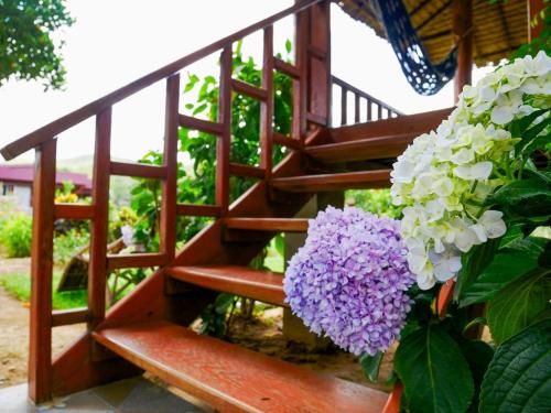 Outdoor Pictures 24