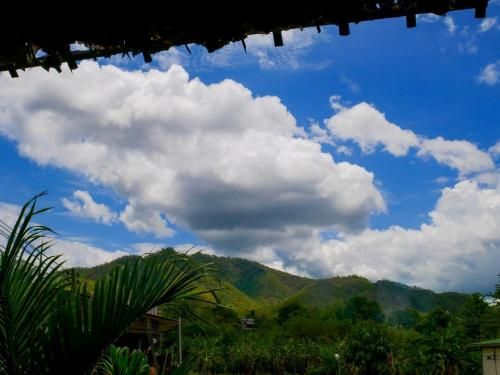 Outdoor Pictures 21