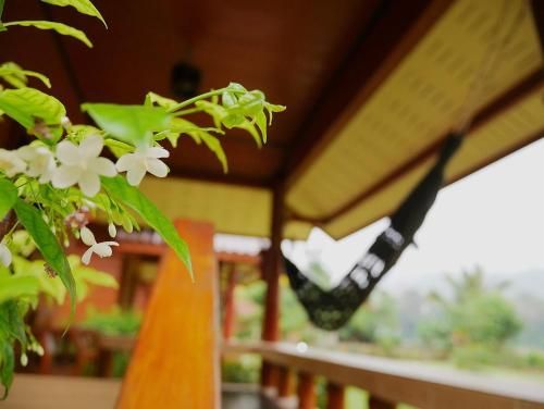 Outdoor Pictures 13