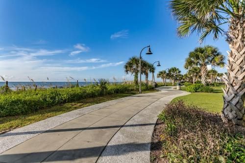 Outdoor Pictures 21