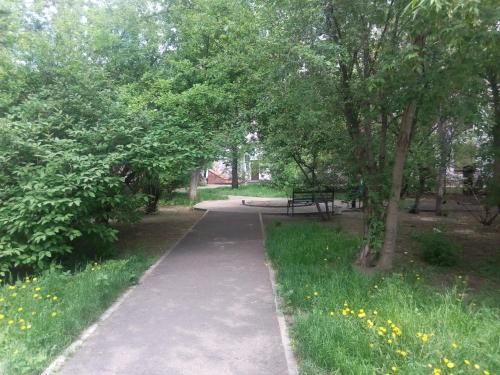 Outdoor Pictures 16