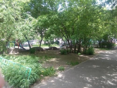 Outdoor Pictures 15