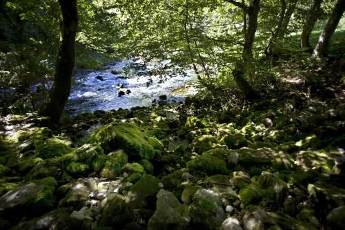 Outdoor Pictures 19