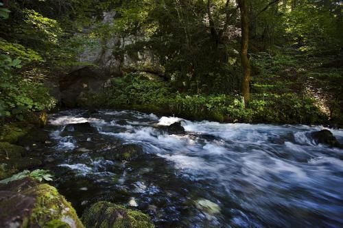 Outdoor Pictures 20