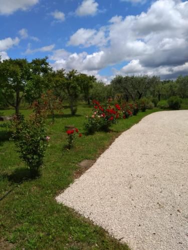 Outdoor Pictures 1