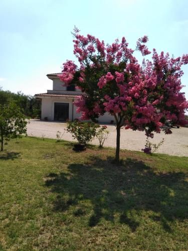 Outdoor Pictures 5