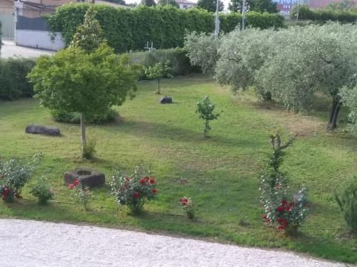 Outdoor Pictures 12